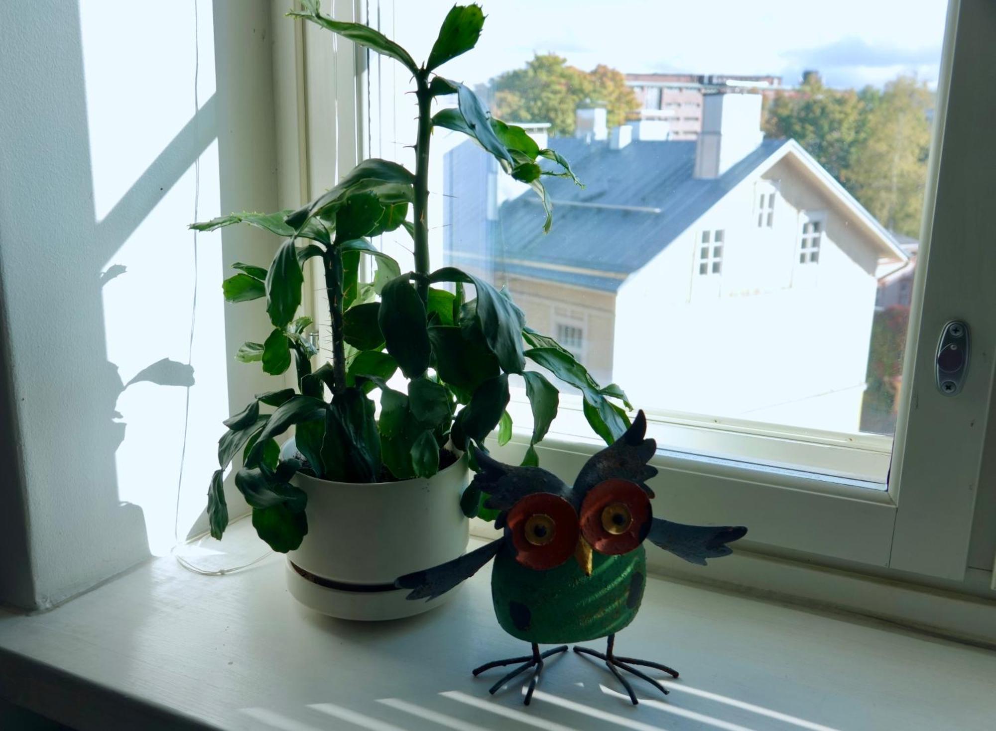 Charming City Studio Tampere Ngoại thất bức ảnh
